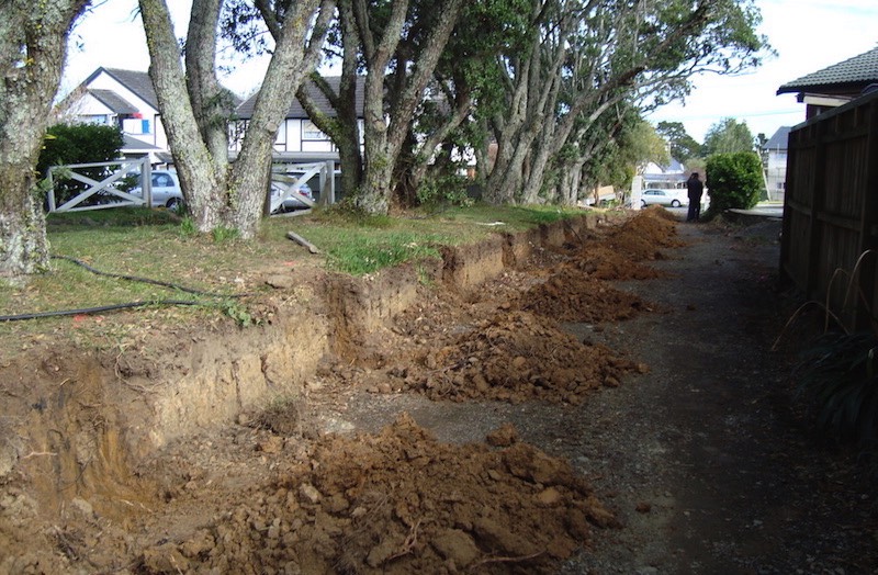 Monitored works within dripline of protected Pohutukawa trees.